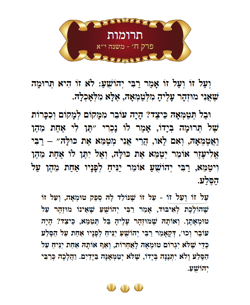 Masechta Terumos Chapter 8 Mishnah 11 with commentary