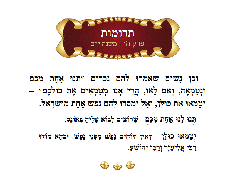 Masechta Terumos Chapter 8 Mishnah 12 with commentary