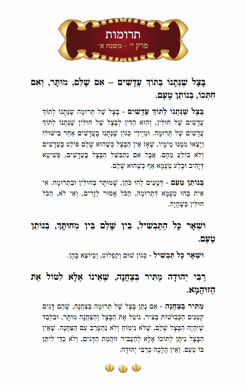 Masechta Terumos Chapter 10 Mishnah 1 with commentary