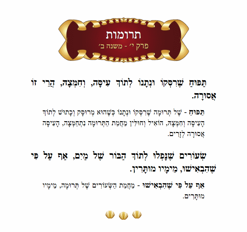 Masechta Terumos Chapter 10 Mishnah 2 with commentary