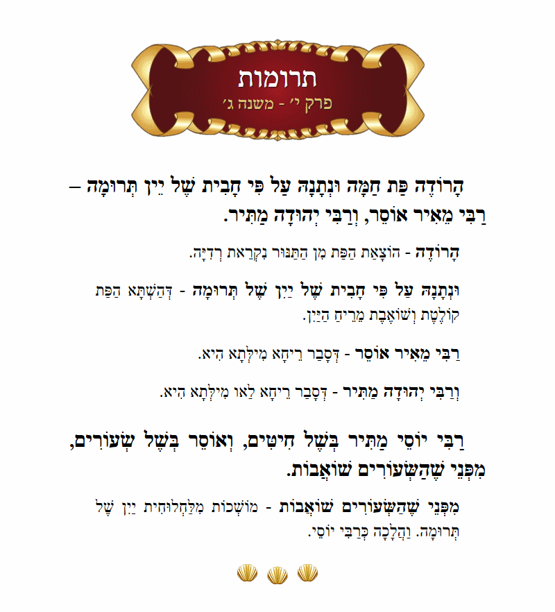 Masechta Terumos Chapter 10 Mishnah 3 with commentary