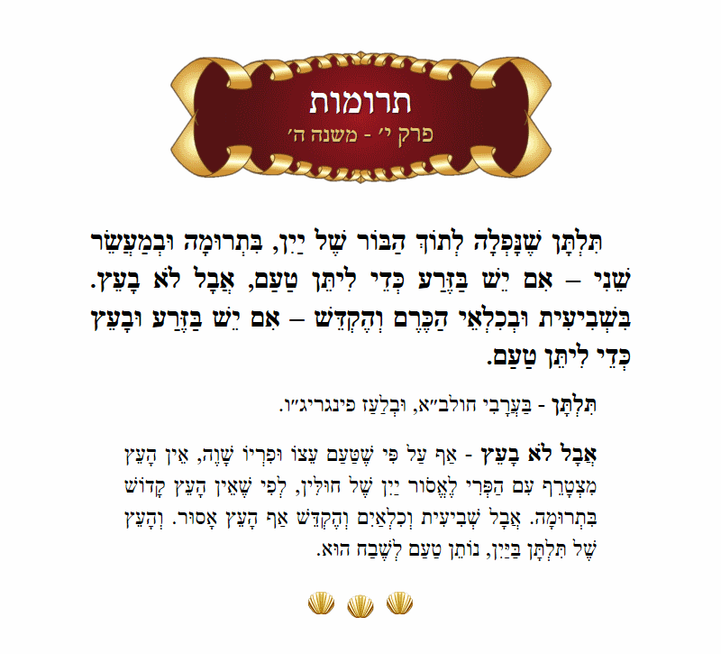 Masechta Terumos Chapter 10 Mishnah 5 with commentary