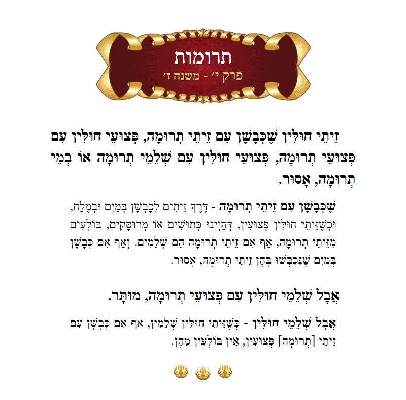 Masechta Terumos Chapter 10 Mishnah 7 with commentary