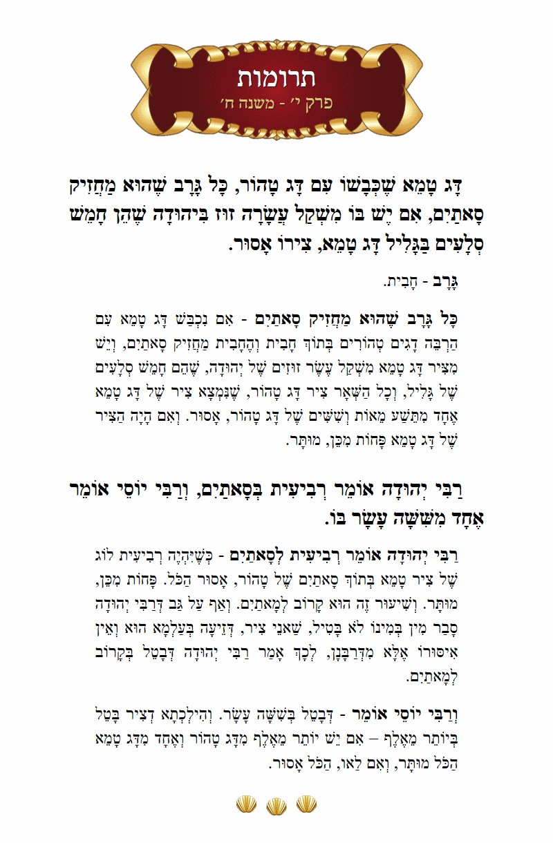 Masechta Terumos Chapter 10 Mishnah 8 with commentary