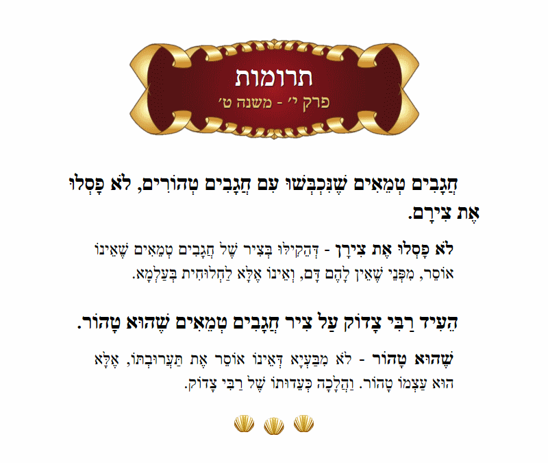 Masechta Terumos Chapter 10 Mishnah 9 with commentary