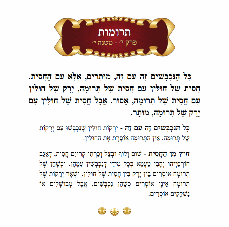 Masechta Terumos Chapter 10 Mishnah 10 with commentary