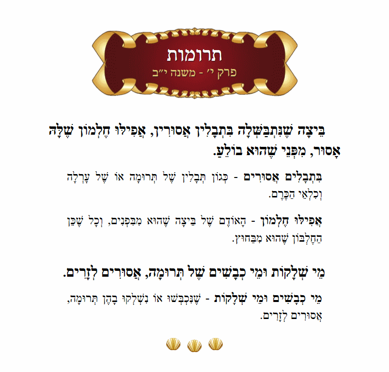 Masechta Terumos Chapter 10 Mishnah 12 with commentary