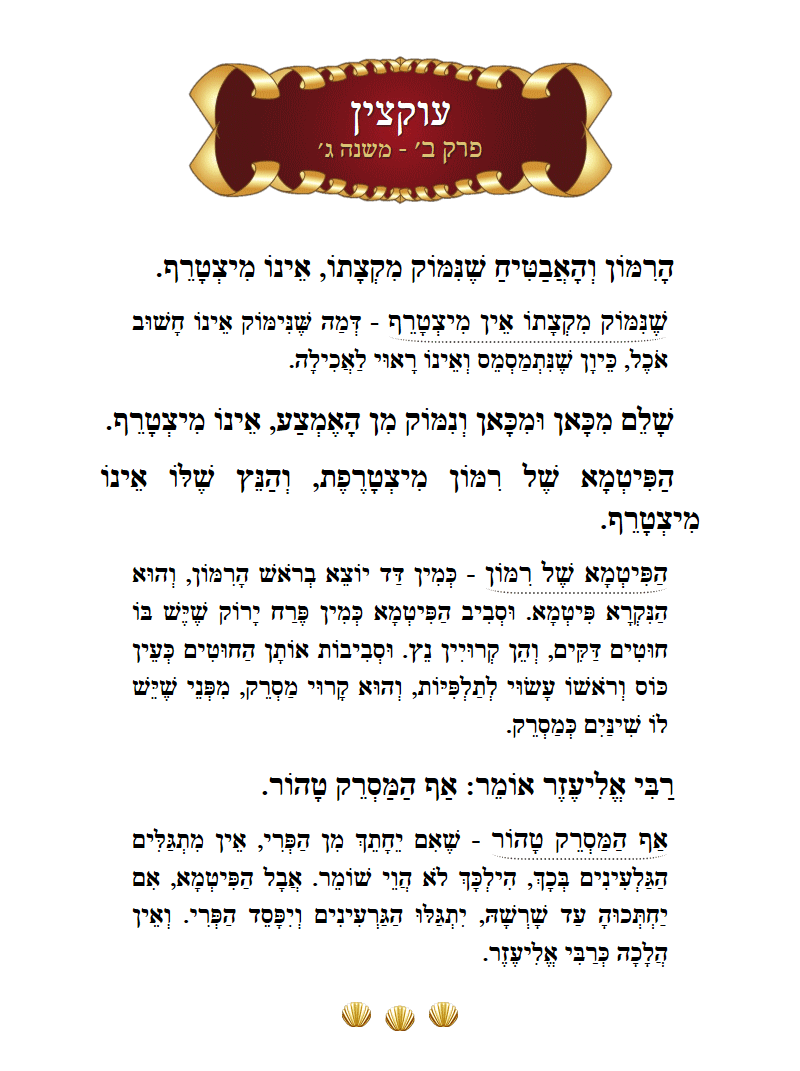 Masechta Uktzin Chapter 2 Mishnah 3 with commentary