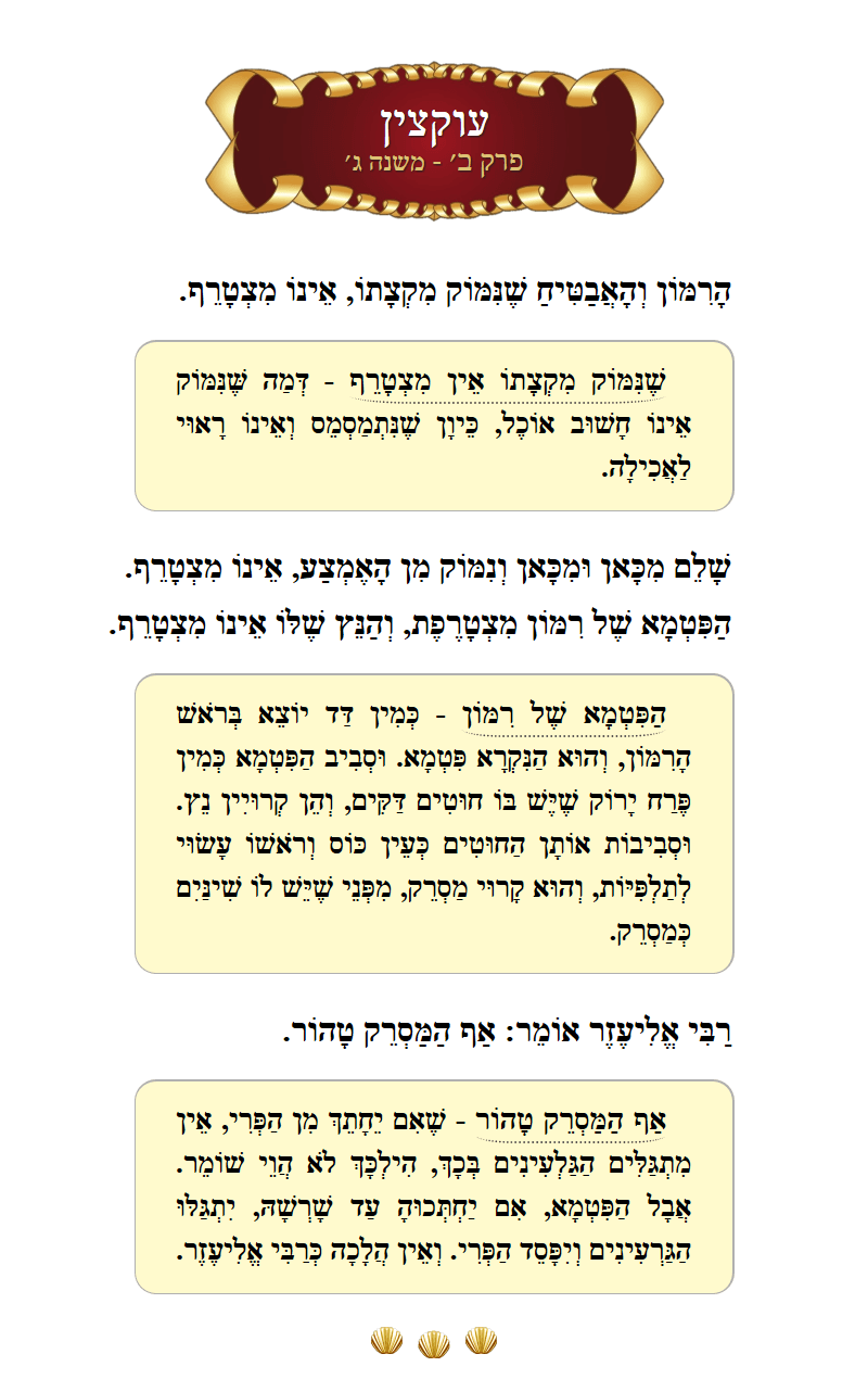 Masechta Uktzin Chapter 2 Mishnah 3 with commentary