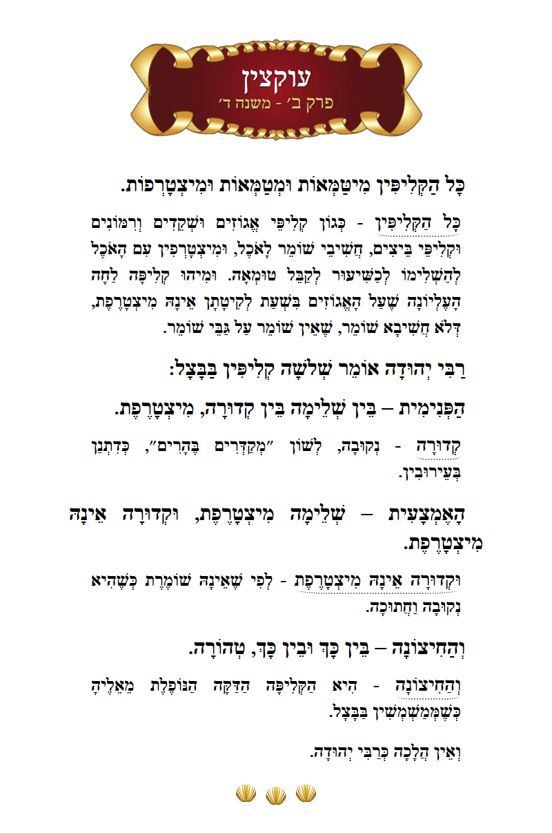 Masechta Uktzin Chapter 2 Mishnah 4 with commentary