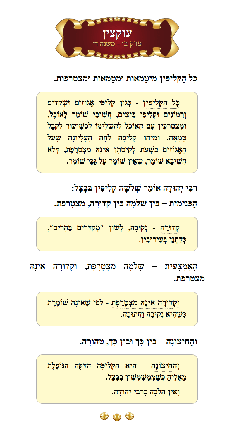 Masechta Uktzin Chapter 2 Mishnah 4 with commentary