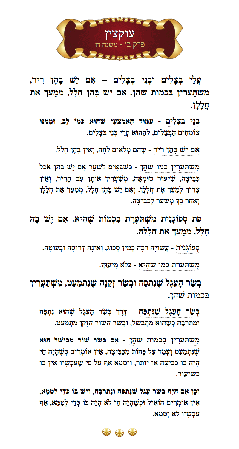 Masechta Uktzin Chapter 2 Mishnah 8 with commentary