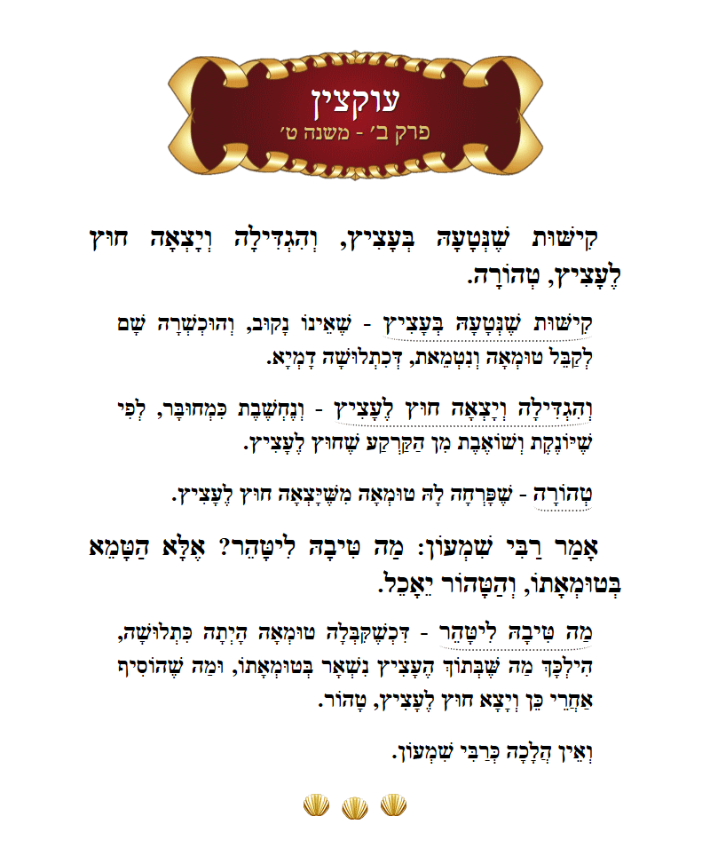 Masechta Uktzin Chapter 2 Mishnah 9 with commentary