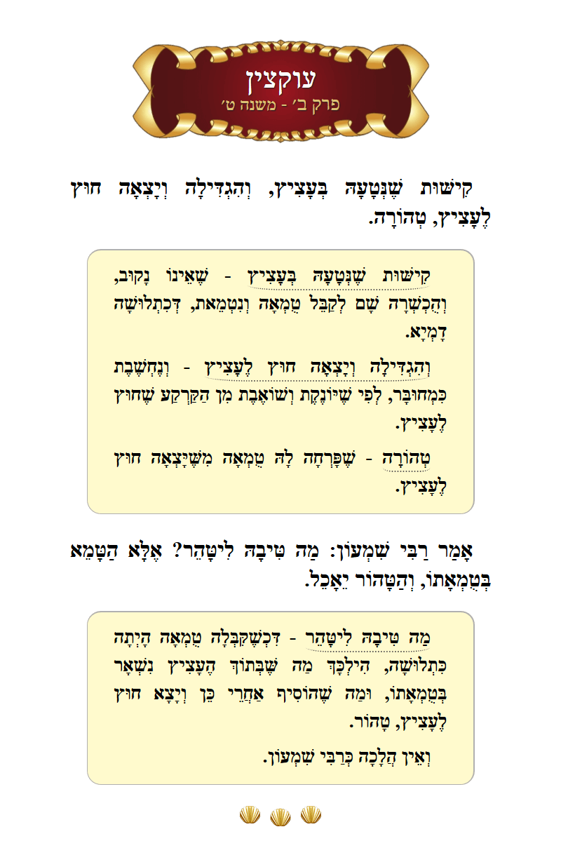 Masechta Uktzin Chapter 2 Mishnah 9 with commentary