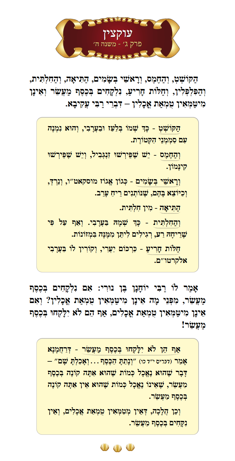 Masechta Uktzin Chapter 3 Mishnah 5 with commentary