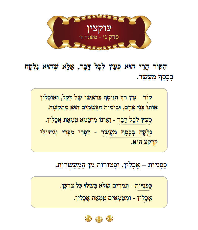 Masechta Uktzin Chapter 3 Mishnah 7 with commentary