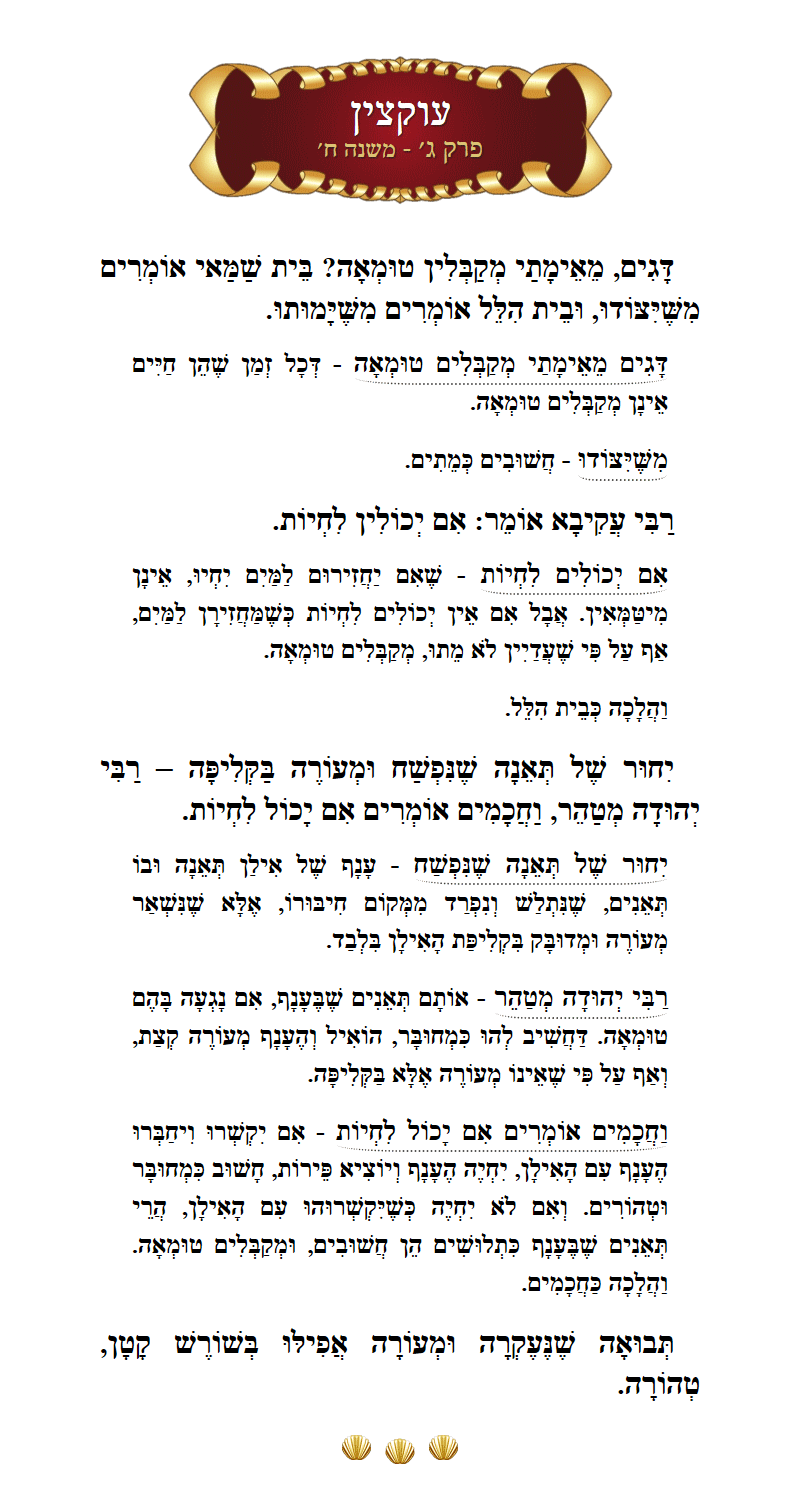 Masechta Uktzin Chapter 3 Mishnah 8 with commentary