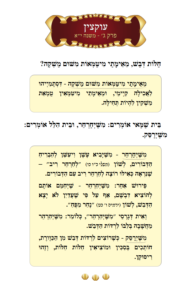 Masechta Uktzin Chapter 3 Mishnah 11 with commentary